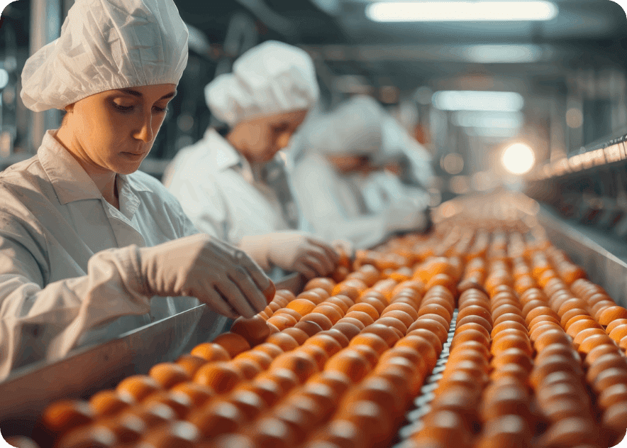 industrial machine design: Food Processing & Packaging